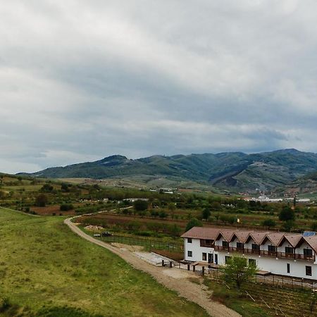 Pensiunea Casa Negrea Ighiu Екстериор снимка