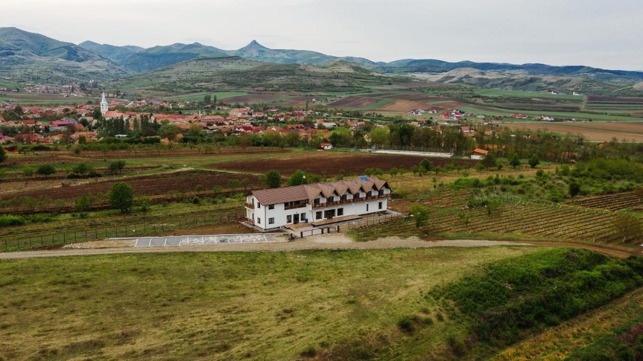 Pensiunea Casa Negrea Ighiu Екстериор снимка