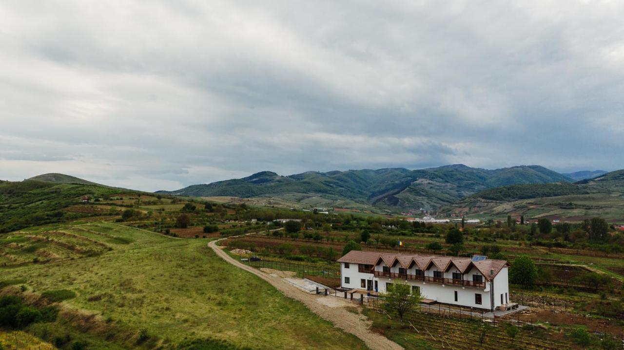 Pensiunea Casa Negrea Ighiu Екстериор снимка