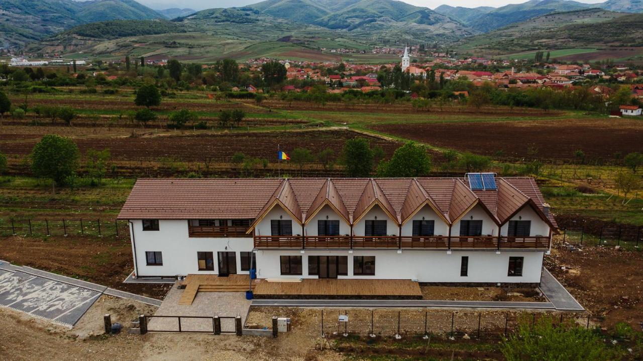 Pensiunea Casa Negrea Ighiu Екстериор снимка
