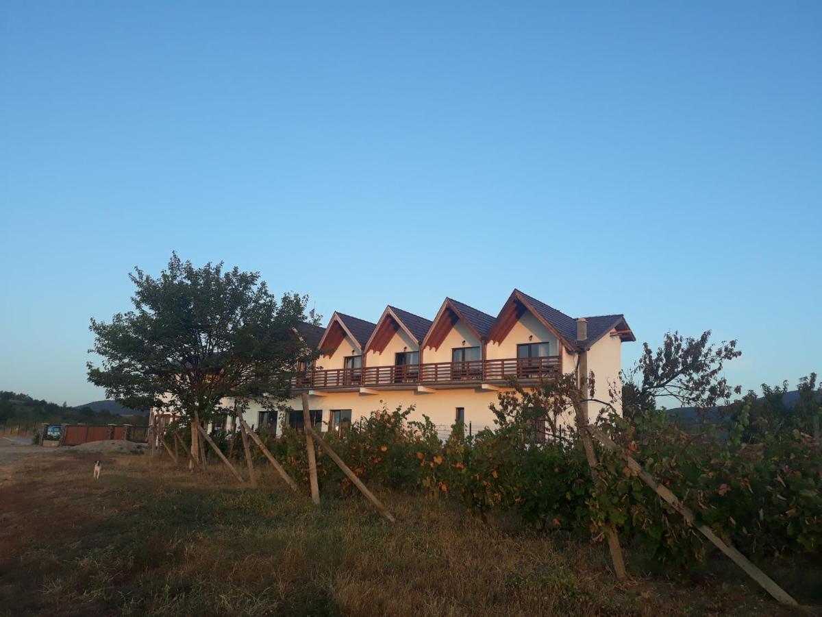 Pensiunea Casa Negrea Ighiu Екстериор снимка