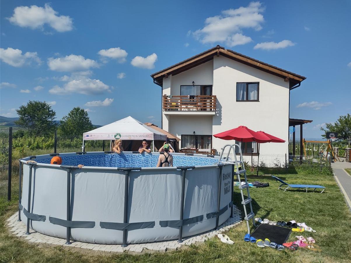 Pensiunea Casa Negrea Ighiu Екстериор снимка
